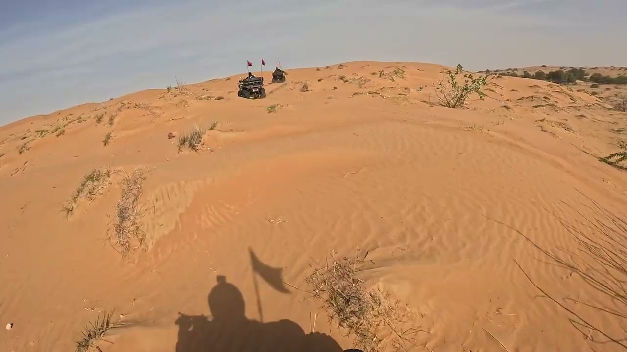 23 يناير، 2026