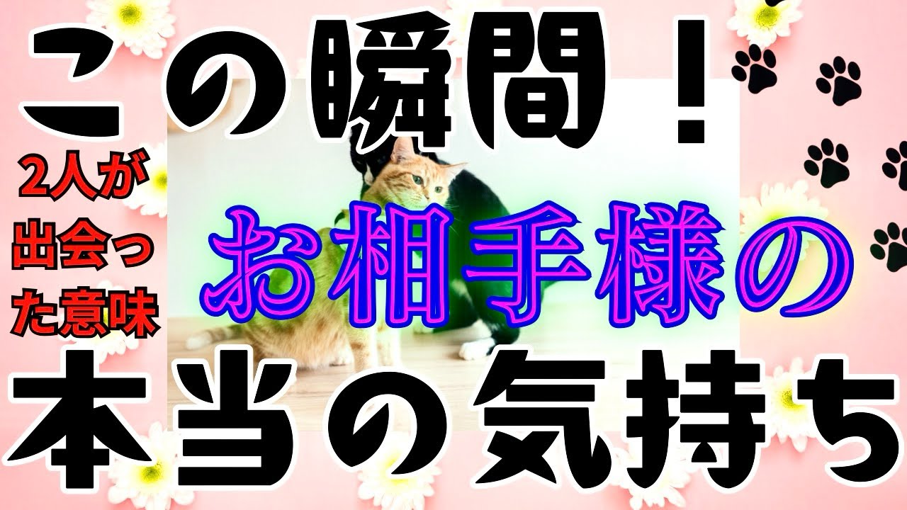 🥰ありがとう🩷この瞬間！お相手様の本当の気持ち🩷