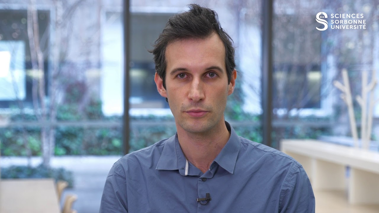 La licence de Mathématiques