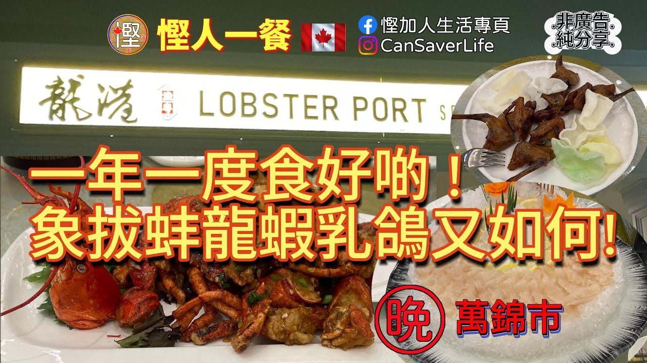 慳人一餐 - 龍港海鮮盛宴 Lobster Port - 一年一度食好啲! 象拔蚌龍蝦乳鴿又如何!