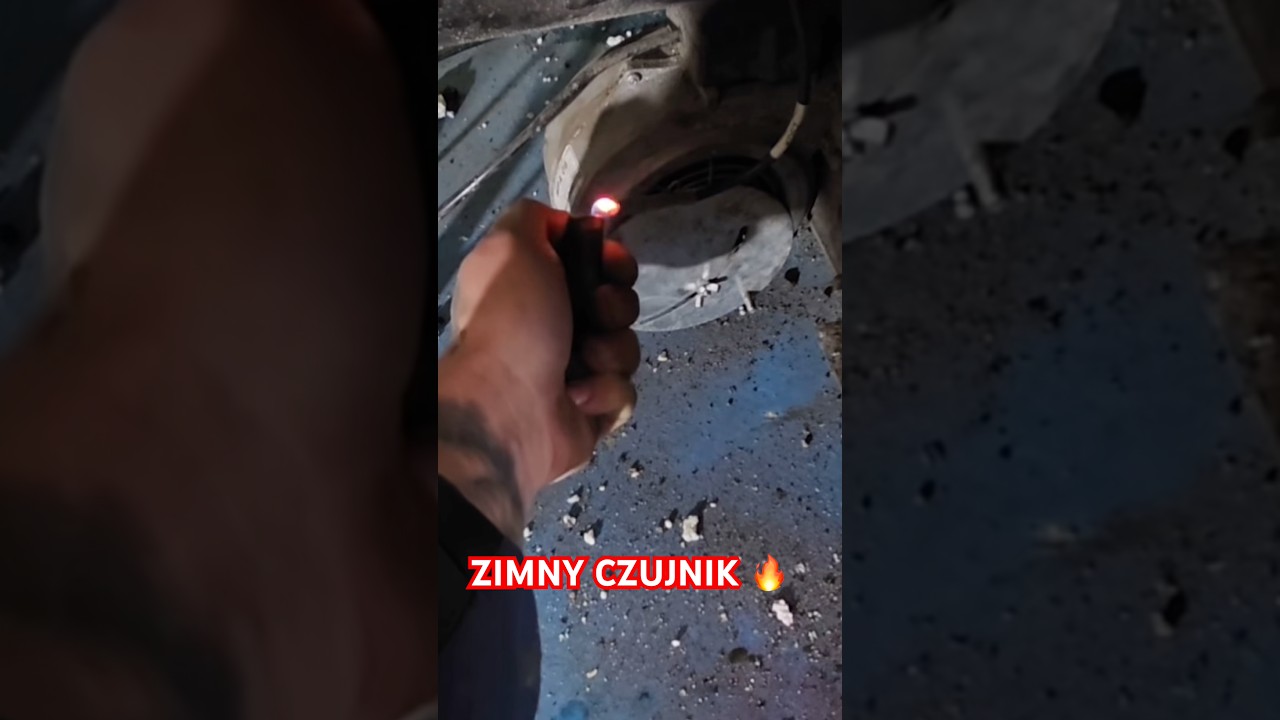 ZIMNY CZUJNIK W PIECU 🔥🔥🔥 #graoplon #shorst #funnymoments #viral
