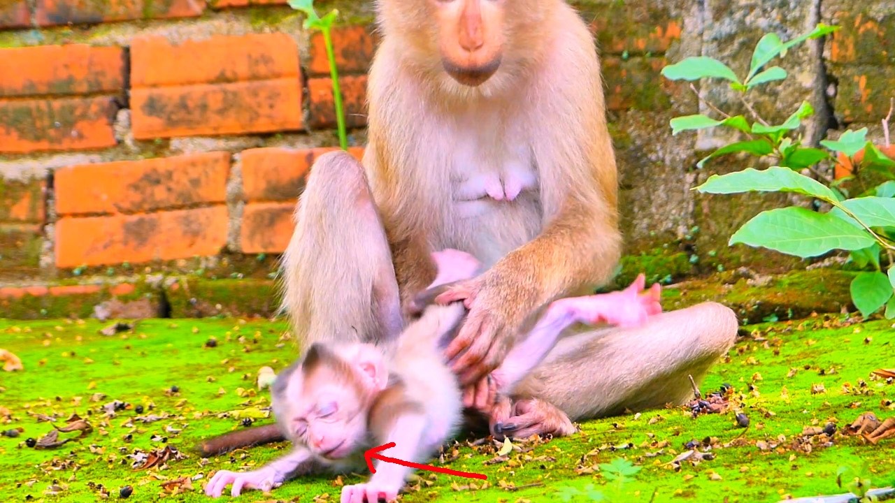 First-time experience: She has never taken care of a baby before.