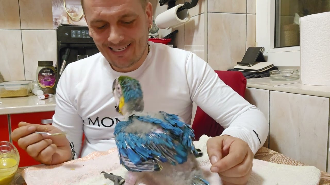 BUNA SEARA VA SPUN SI EU SI PACO VA DORIM MULTA SANATATE TUTUROR