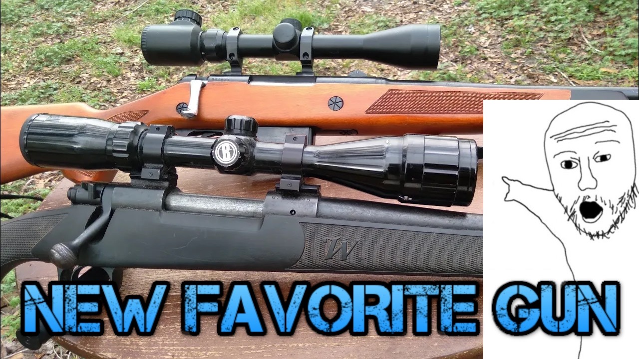 My New Favorite 308 Rifle
