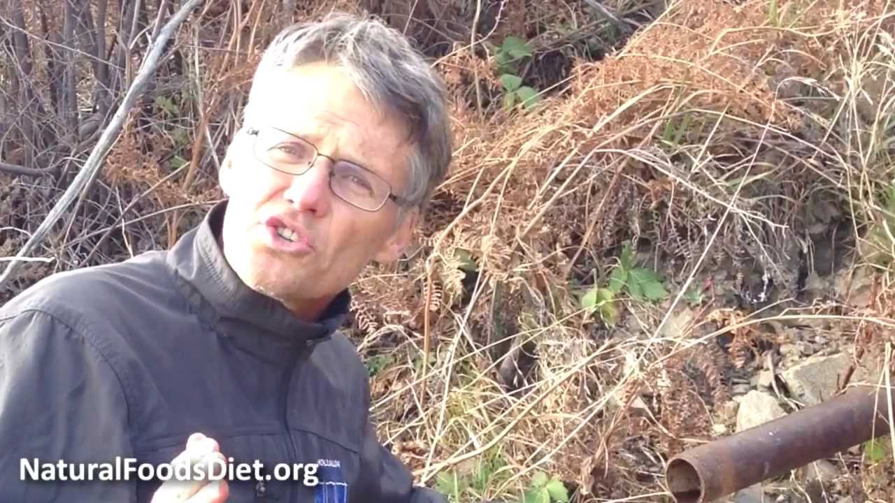The Benefits of Drinking Spring Water
