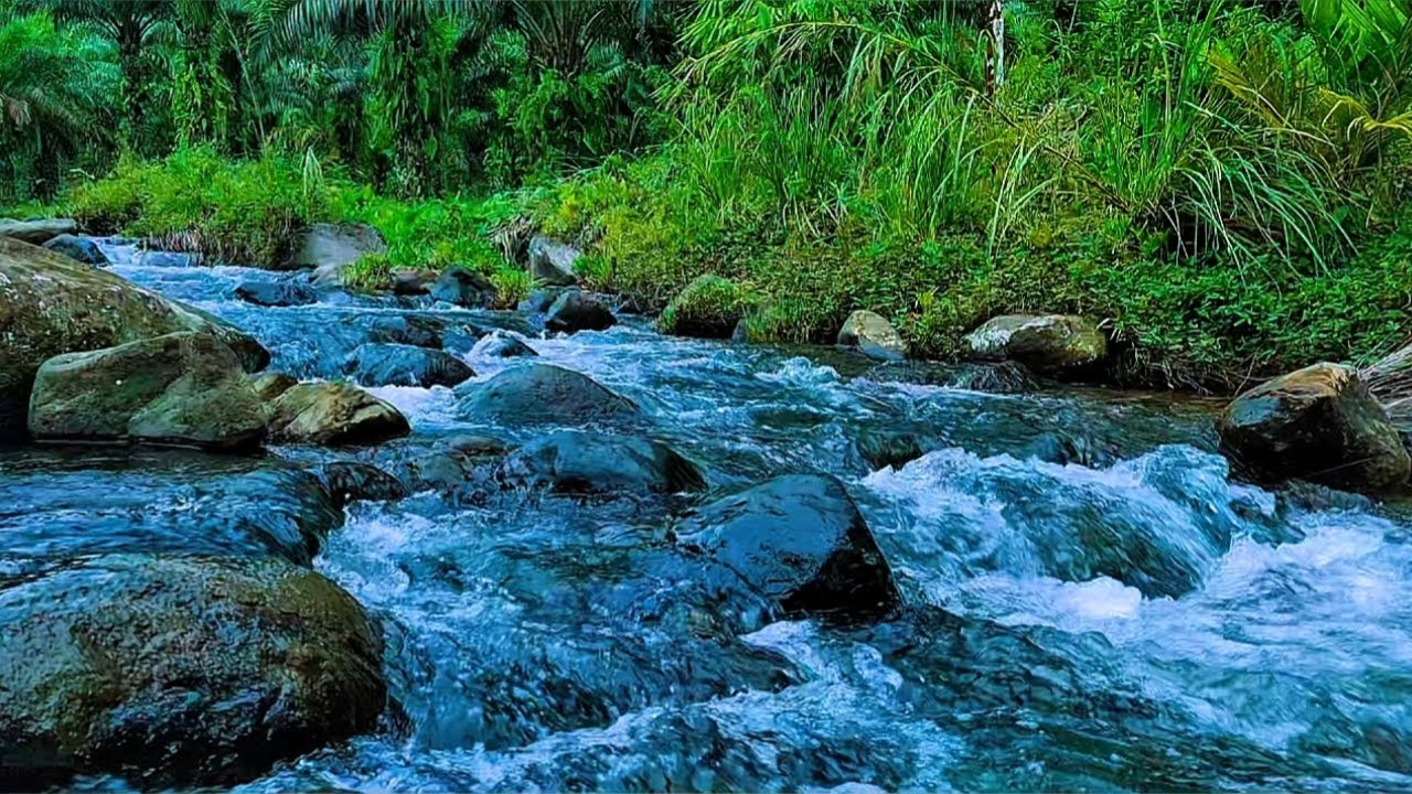 Relaxing water sounds, White noise for sleeping, Meditation, Healing sounds, ASMR