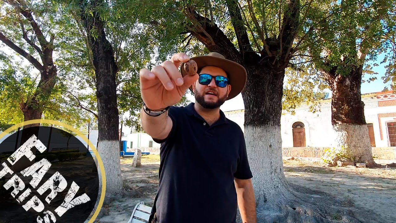 La Gastronomía y sus Murales en Rayones | Nuevo León