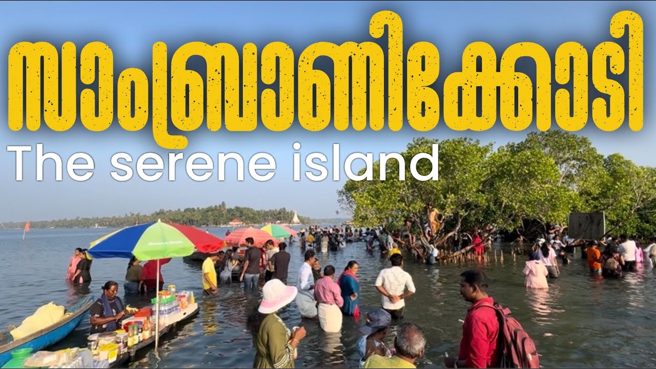 Sambranikodi | A Hidden Gem of Backwater Bliss ✨😍| സാംബ്രാണിക്കോടി #kollam #sambranikodi #dtpc 