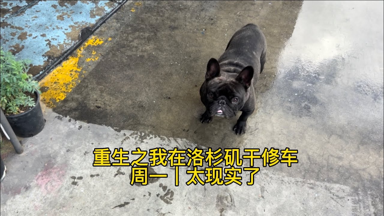 洛杉矶修车工的一天｜周一一上班，就被现实狠狠干了一拳
