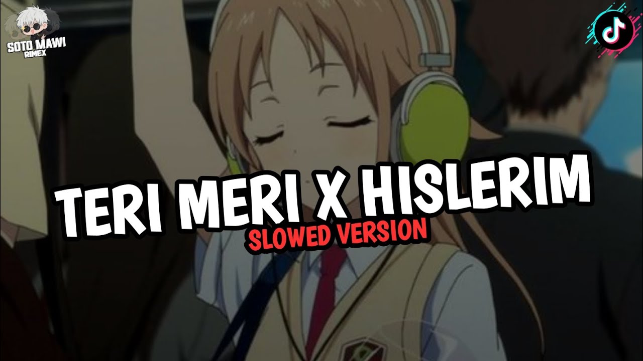 DJ TERI MERI X HISLERIM || SLOWED VERSION 