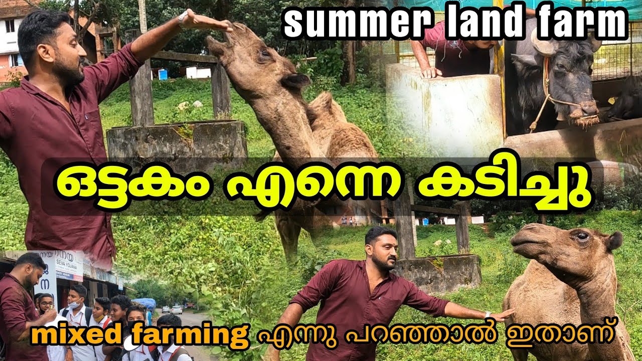 എന്റെ മനസ്സിലെ സങ്കല്പം ഇങ്ങനെ ഒരു ഫാം ആണ്. ഇവിടെ ഇല്ലാത്തത് ആയിട്ട് ഒന്നുമില്ല. summer land farm.