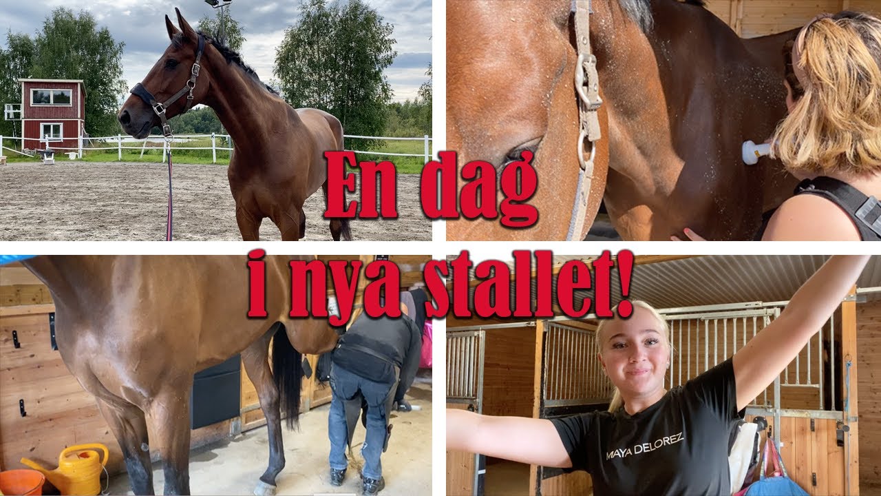 F&ouml;lj med p&aring; en dag i det nya stallet!