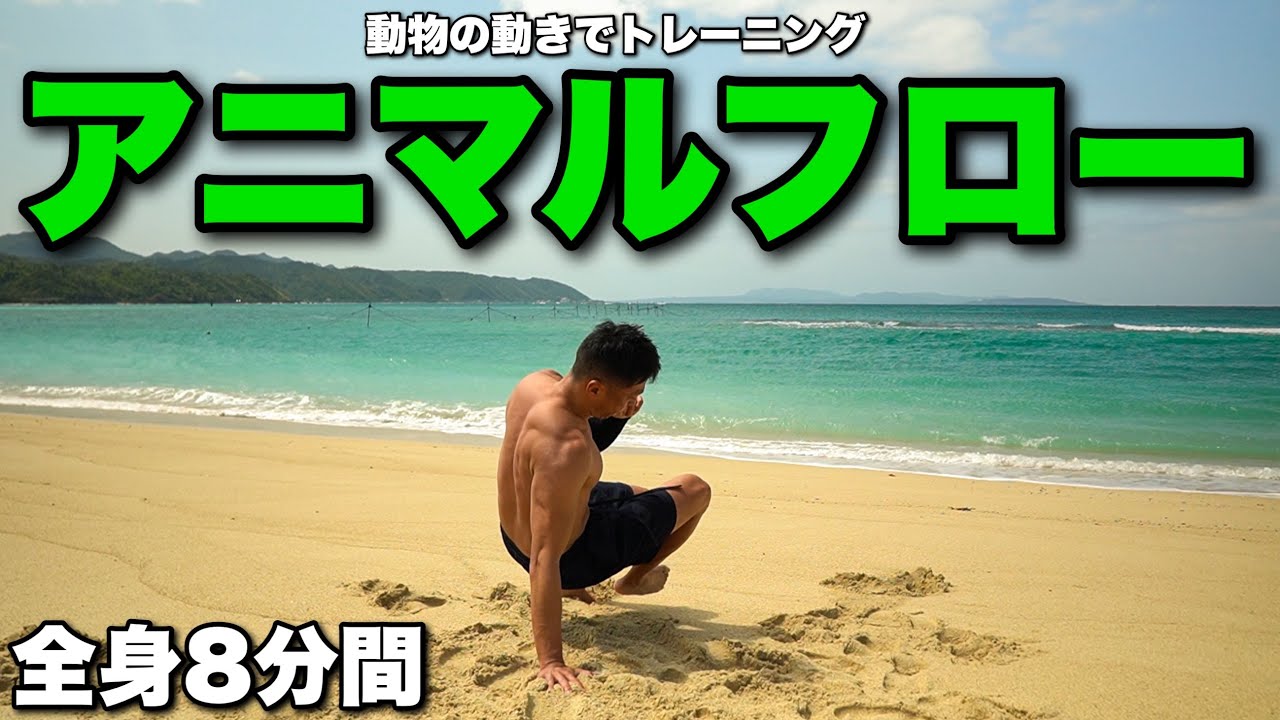 体の様々な機能を向上させるアニマルフローで8分間のご筋トレ。