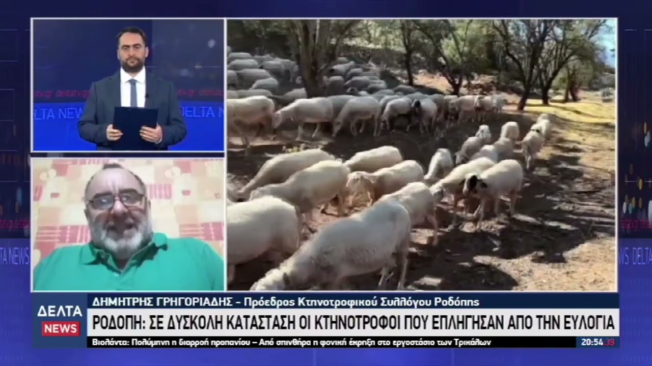 Ενισχύονται τα μέτρα βιοασφάλειας με στόχο την εκρίζωση της ευλογιάς | 28.01.2026