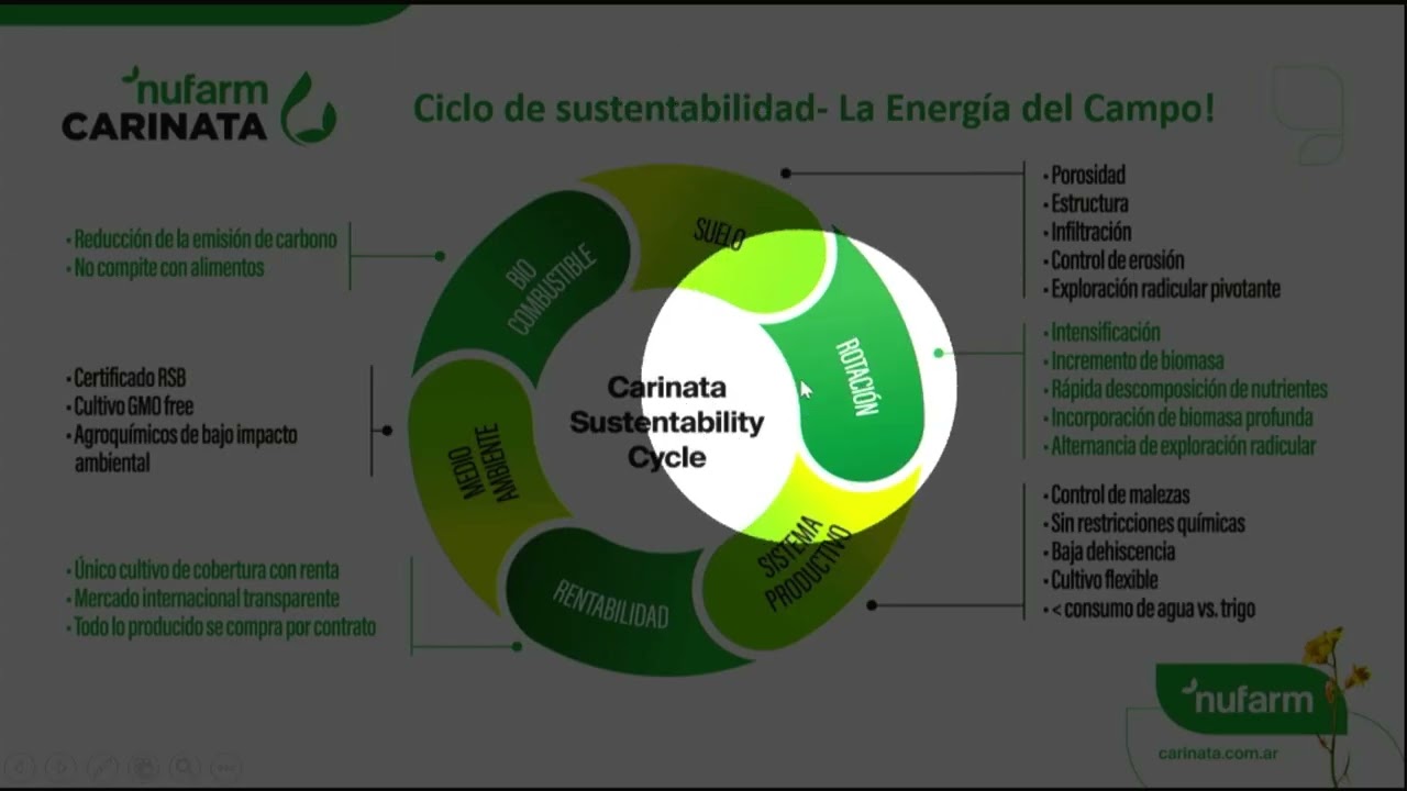 1er Simposio Nacional de Brassicas, Sebastián Bravo. Carinata, la energia del campo