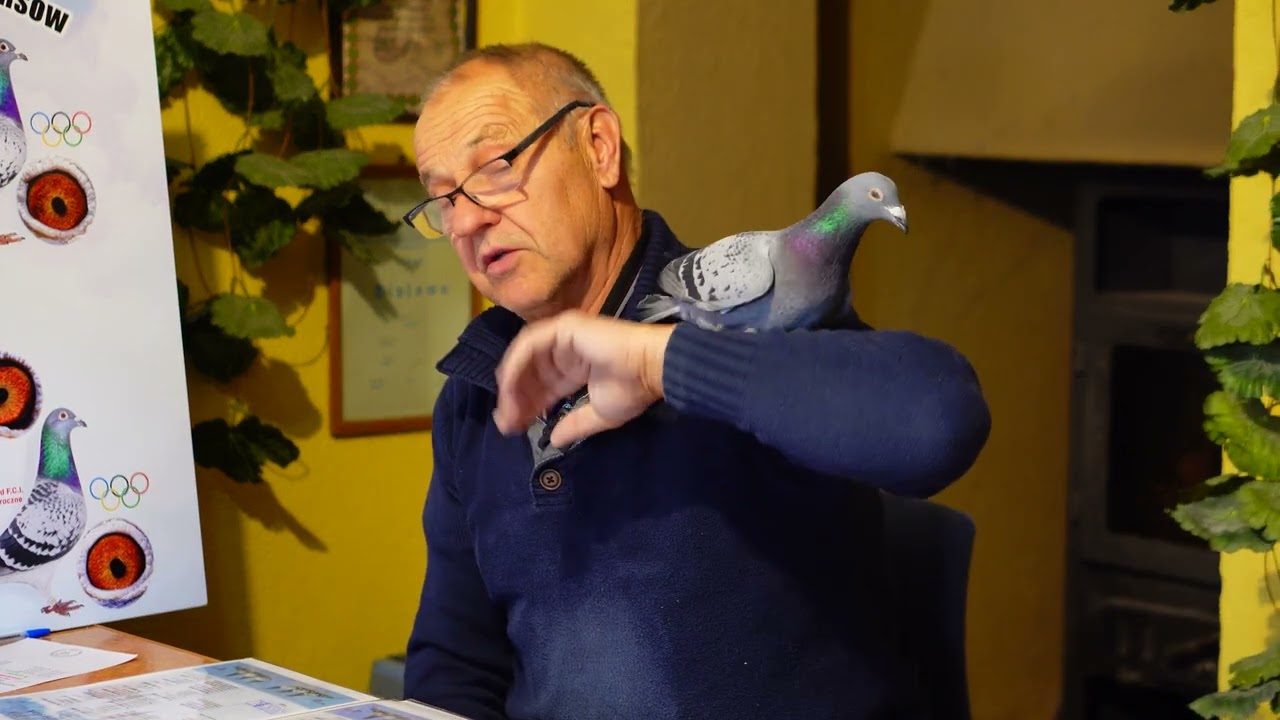 Leszek Pielesiak - Zapowiedź aukcji