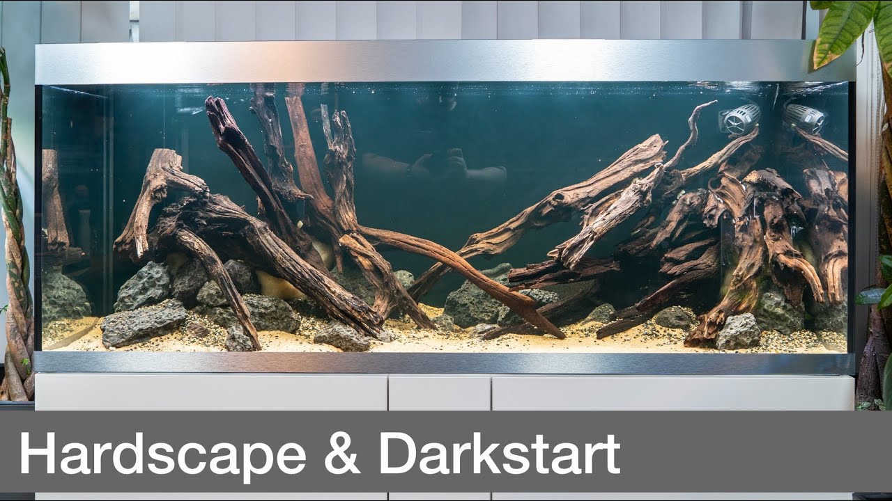 High-End 600L Diskus Aquarium Hardscape & Darkstart | Liquid Nature