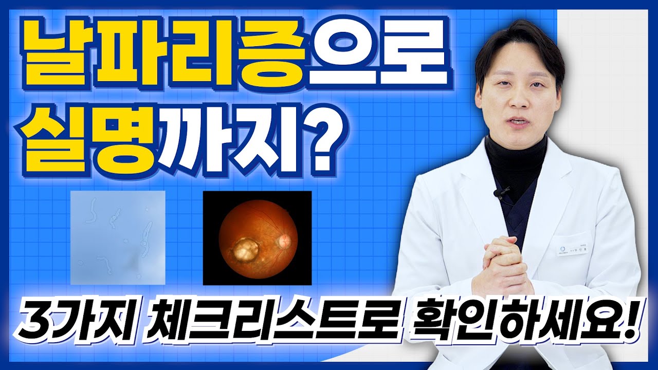 눈앞에 날파리? 검은 점? 절대 방치하면 안 되는 '위험한 비문증' 구별법 (망막박리 전조증상)