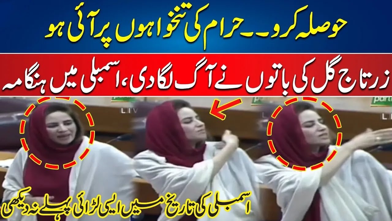 Biggest Fight in National Assembly - Zartaj Gul vs Government - 24 News HD