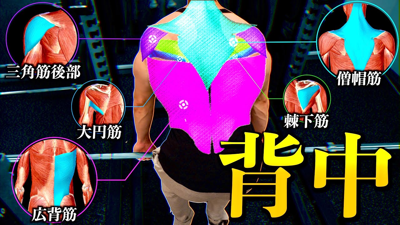 【筋トレ】マジのマジで背中の全てを置いてきた動画。