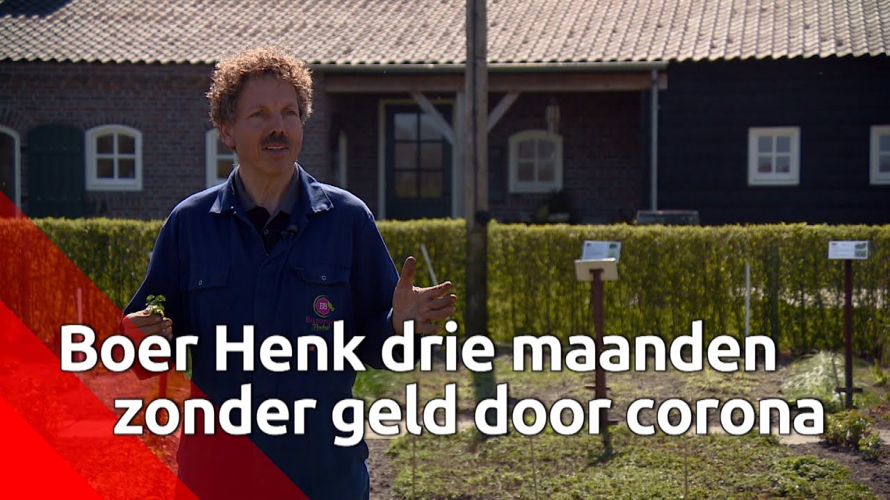 Boeren in problemen door corona: Vergeten groente Boer Henk waardeloos
