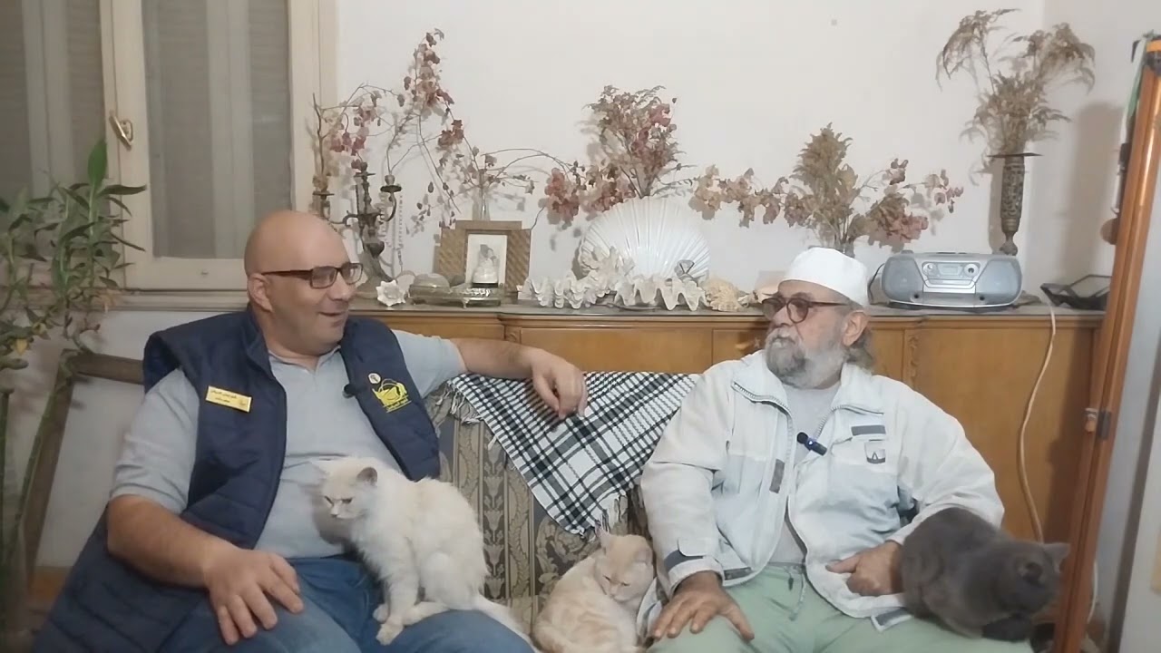 افضل اماكن جلوس بالمركب