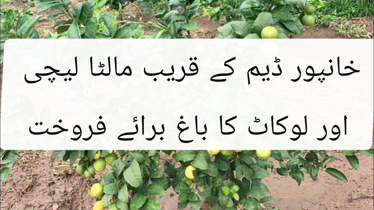 near to khanpur dam beautiful garden in very reasonable price || water electricity gas..