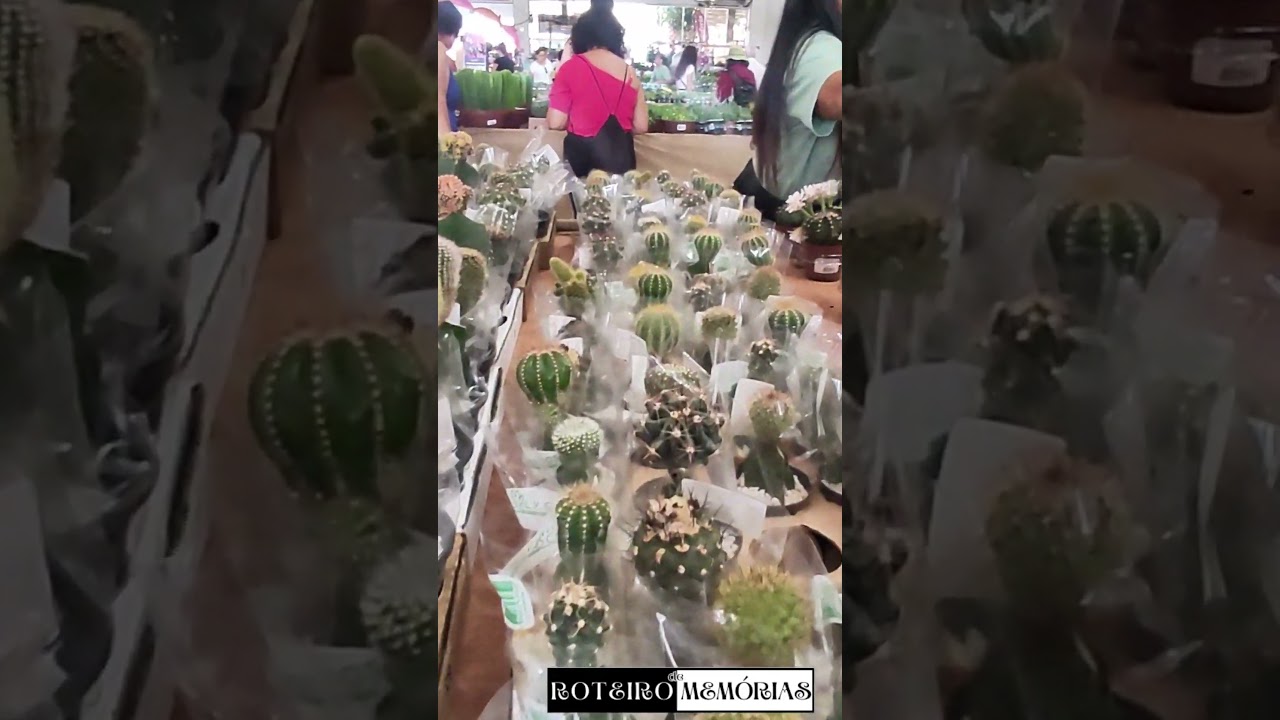 Esse &eacute; o local onde vendem as flores na #ExpoFlora em #Holambra