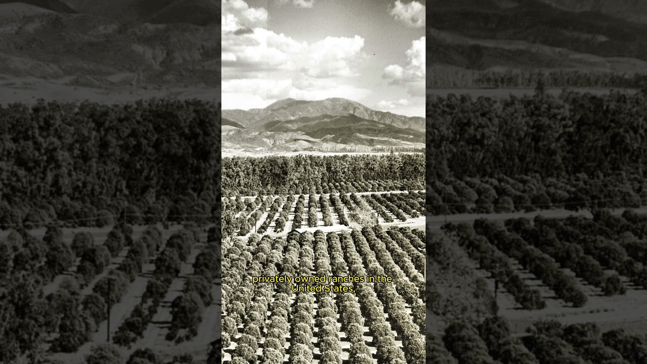 From Ranch to City: The Story of Irvine, California #irvine #california #myths #facts