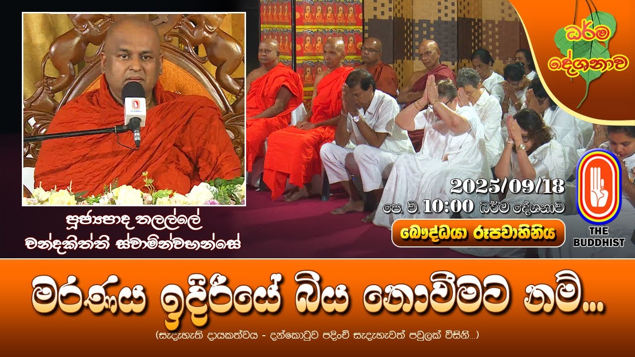 Ven Thalalle Chandakitthi Thero | 2025-09-18 | 10AM (මරණය ඉදිරියේ බිය නොවීමට නම්...) ගිලාන සූත්‍රය
