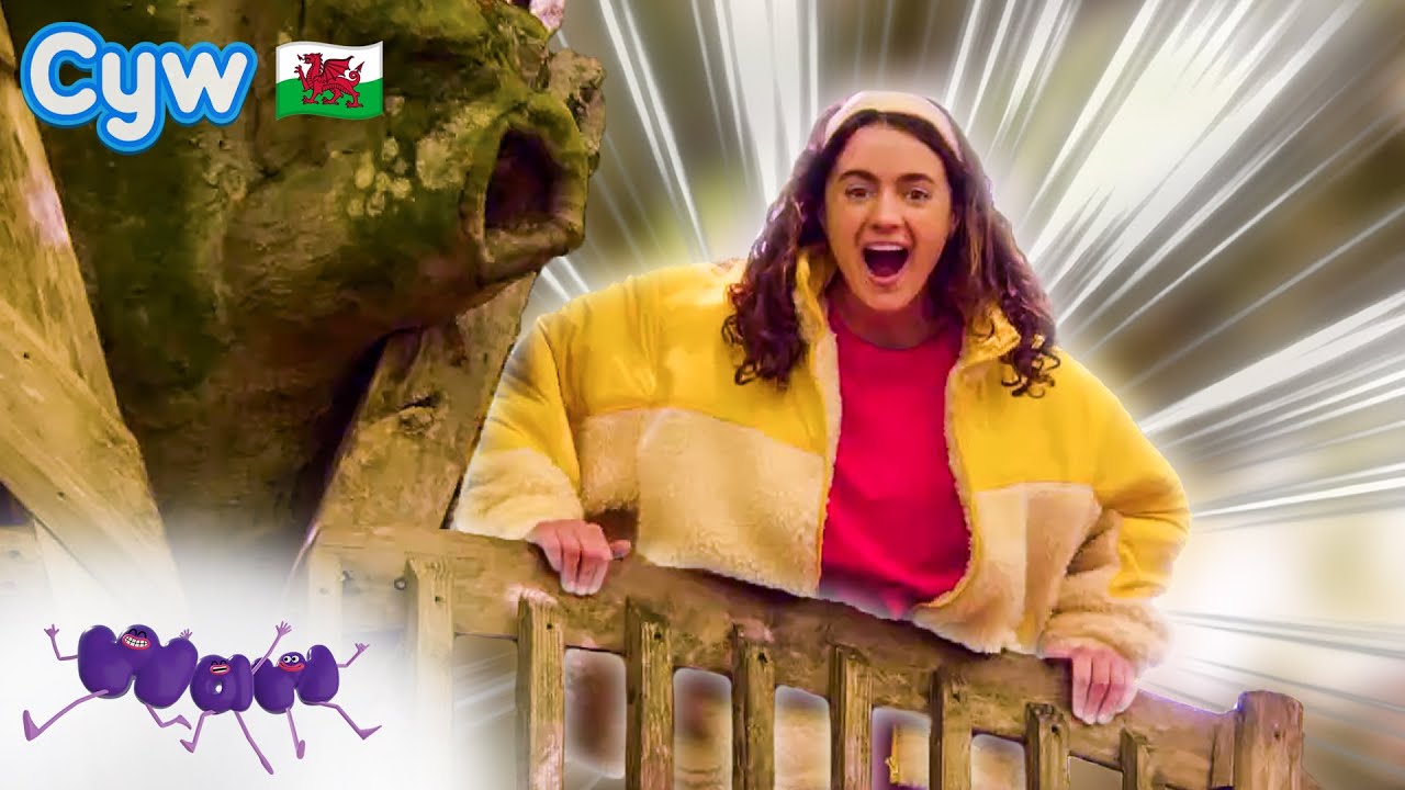 Waw! Deunyddiau - Coed 🌳 | Welsh Science for Kids 🏴󠁧󠁢󠁷󠁬󠁳󠁿
