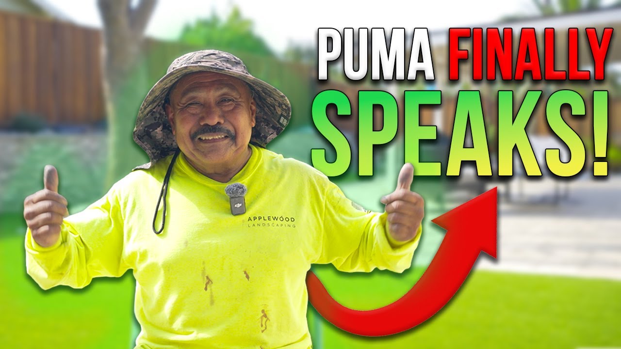 Вы не знаете всей истории о Puma… до сих пор