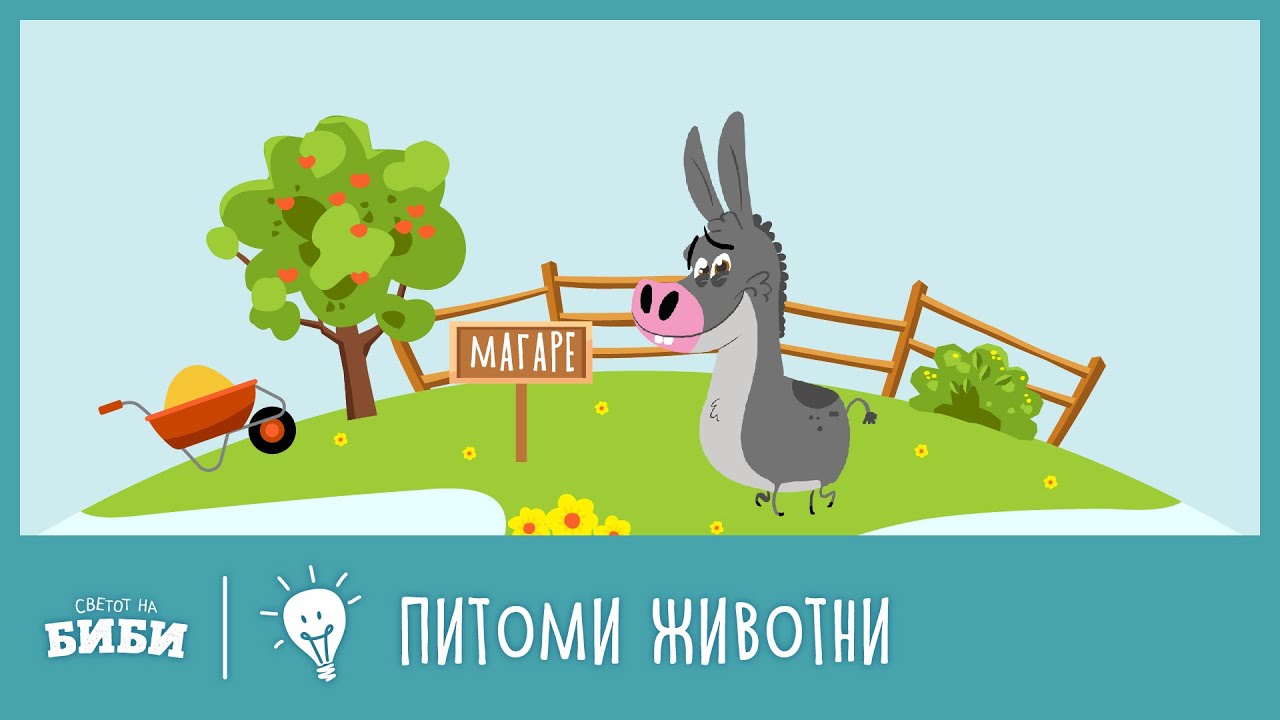 Учиме со Биби и Боби: Питоми животни