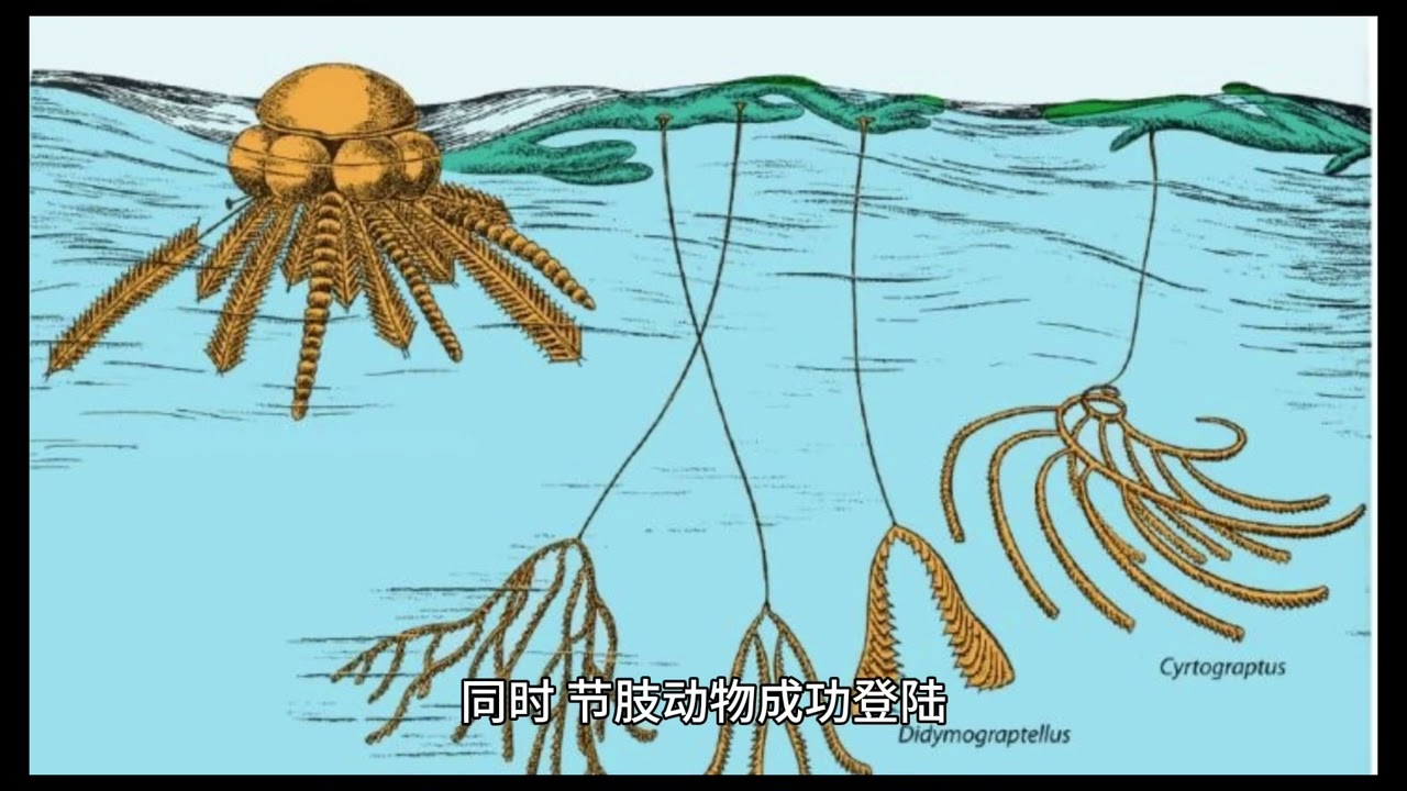志留纪：古生代的生命繁荣与地球变迁
