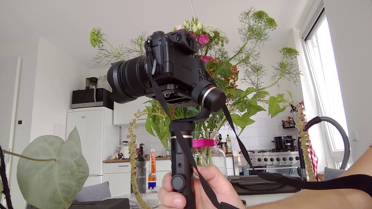 Panasonic G85 + FeiyuTech G6 Plus