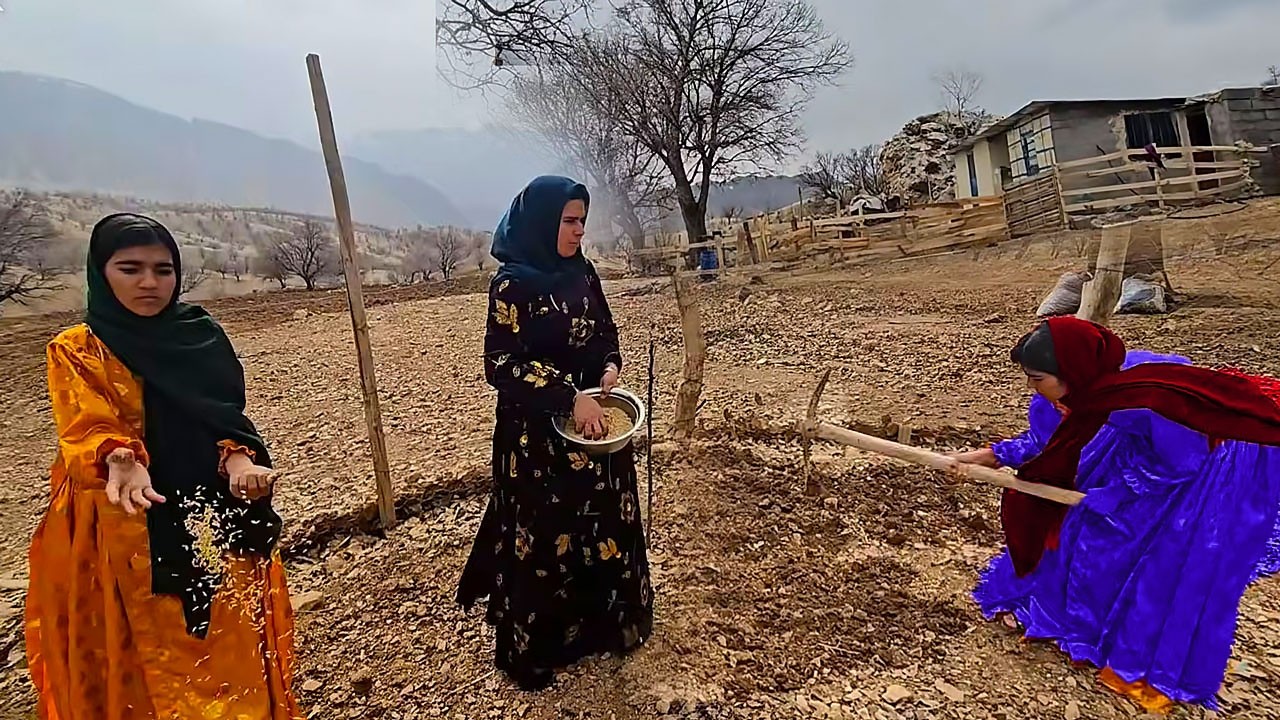 Traditional farming by Fariba and her daughter