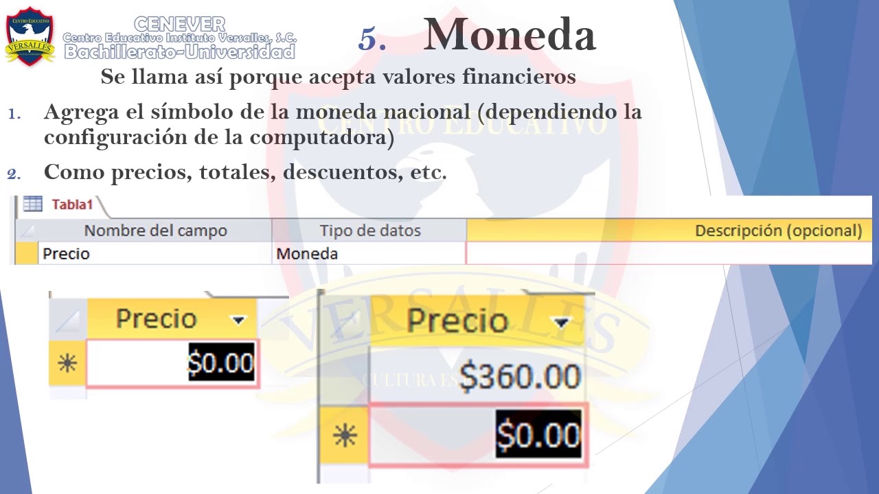 Tipos de datos en Access