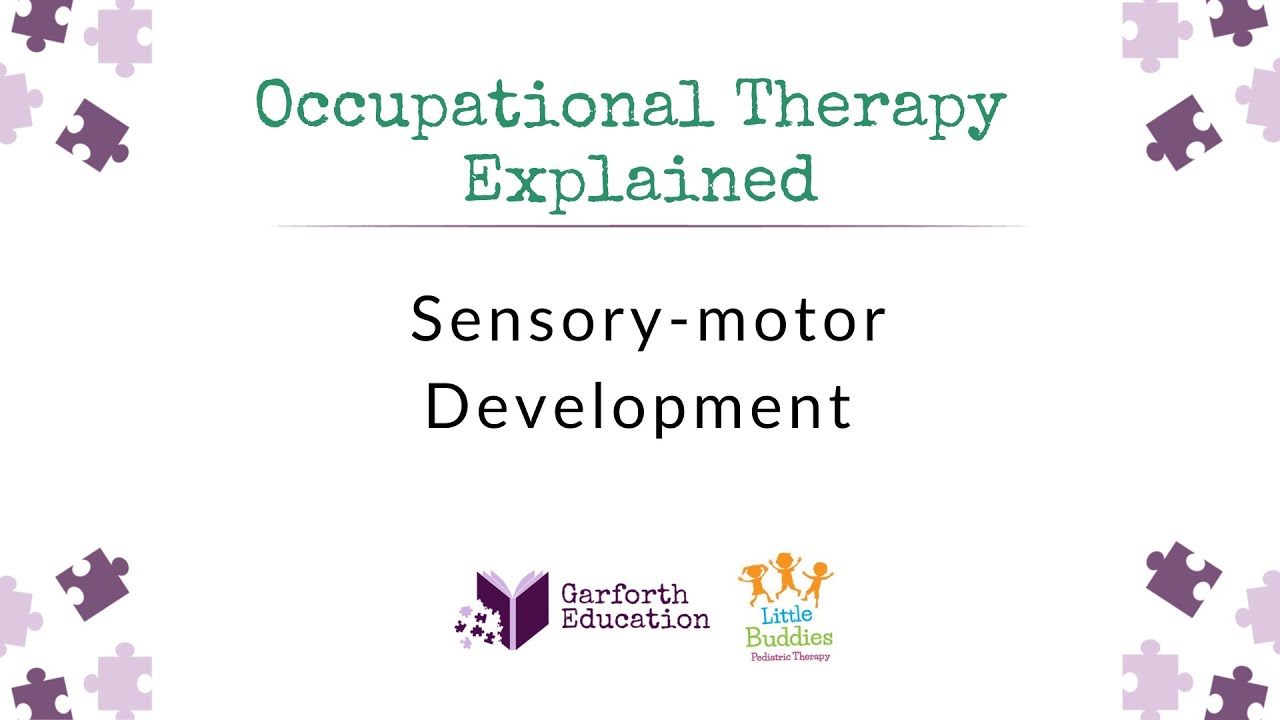 Sensory-motor Development