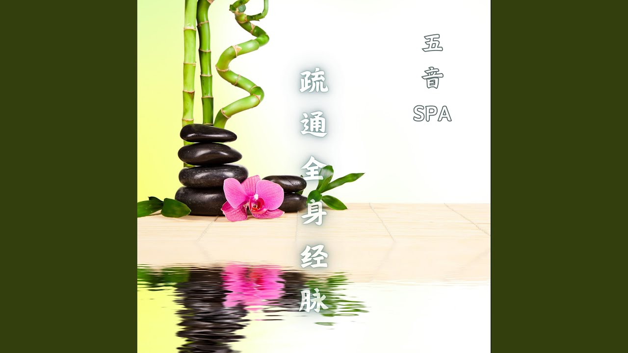 五音SPA疏通全身经脉