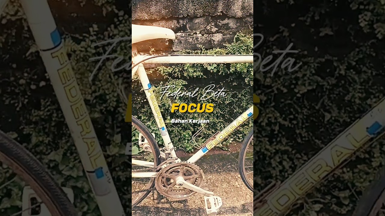 Federal Beta Focus #bicycle #vintage #roadbike #steel #federal #beta #focus #alizasehar