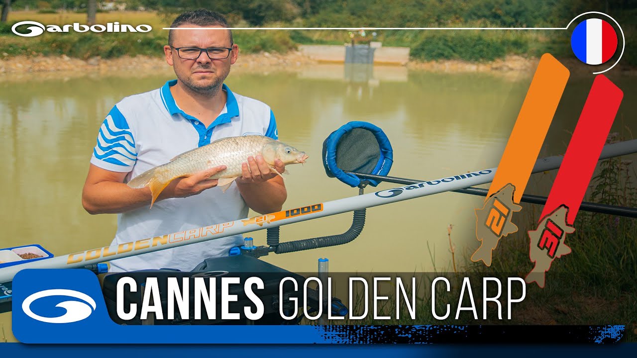 Canne Pêche au Coup GARBOLINO GOLDENCARP 21 & 31