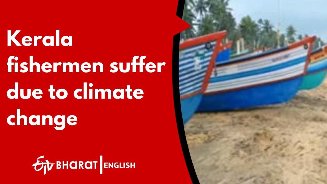 Kerala fishermen suffer due to climate change |ETV Bharat