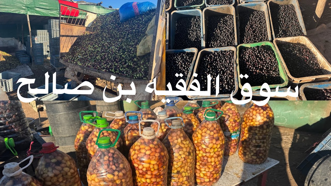 اتمنة الزيتون بسوق الفقيه بن صالح الكحلة والمتلتة ولا زال الخير موجود حتى بعد رمضان🫒🫒🍈🍈