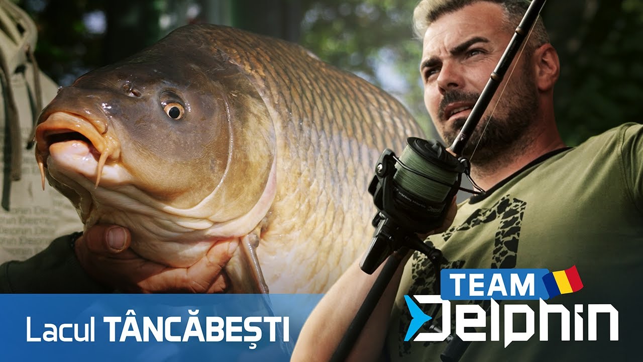 Povești și Pești de Tâncăbești