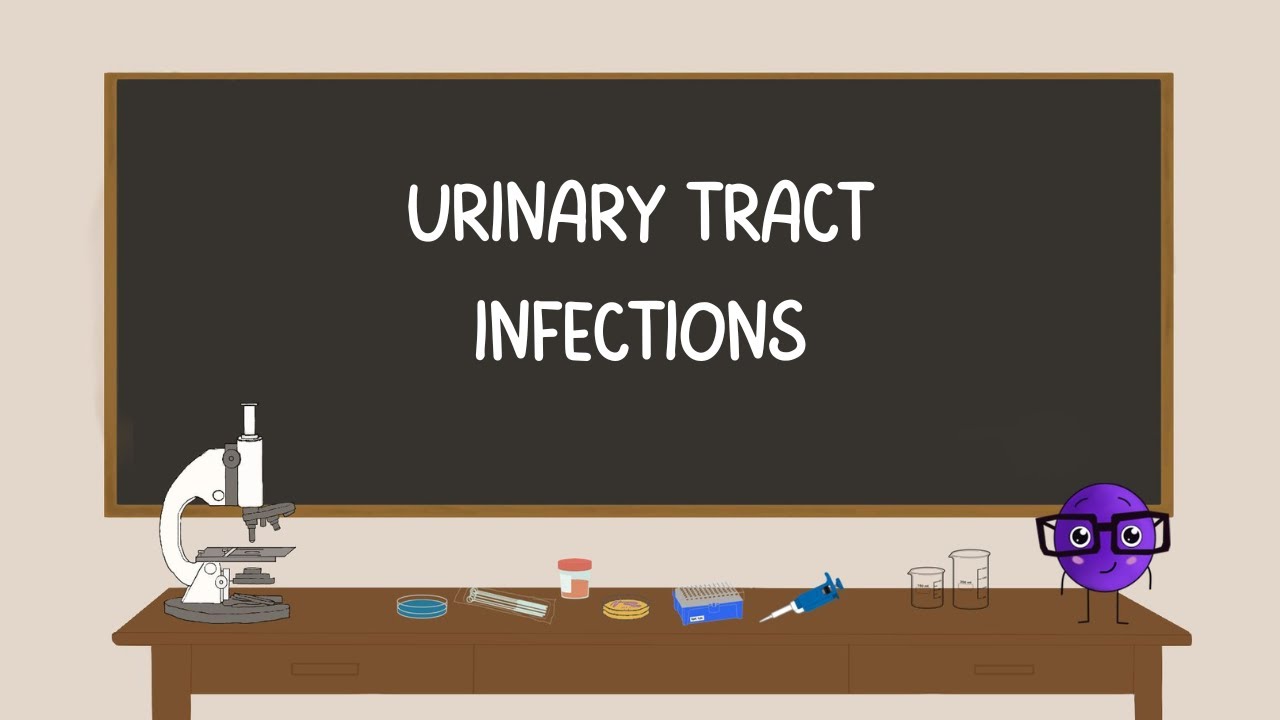Episode 3: Urinary Tract Infections | Microbiology