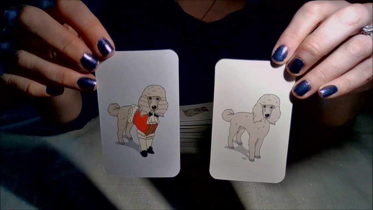 DRESSED UP DOGS MEMORY CARDS REVIEW