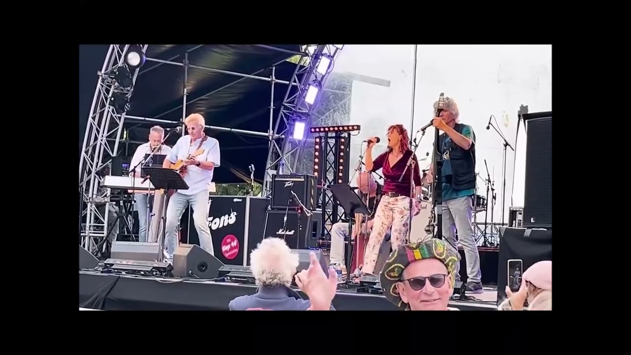 De Vale Gieren Live