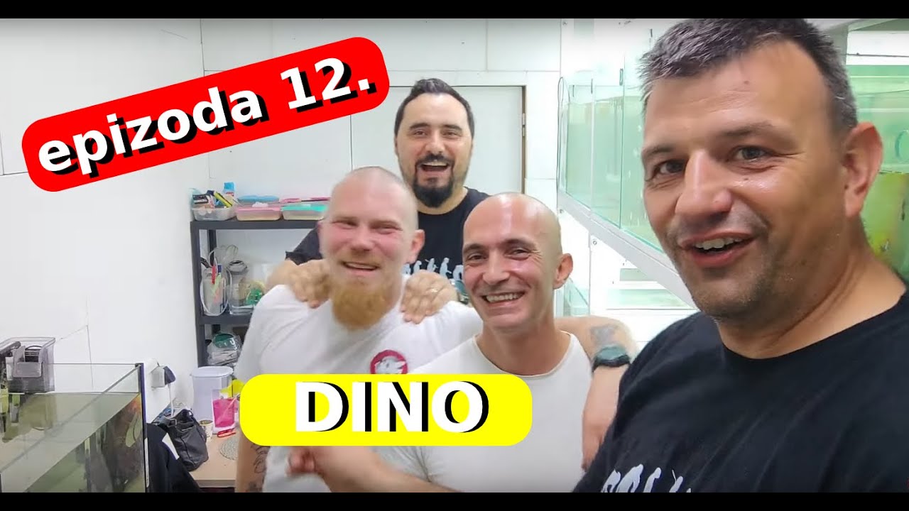 Akvarističke priče sez.4, ep.12 