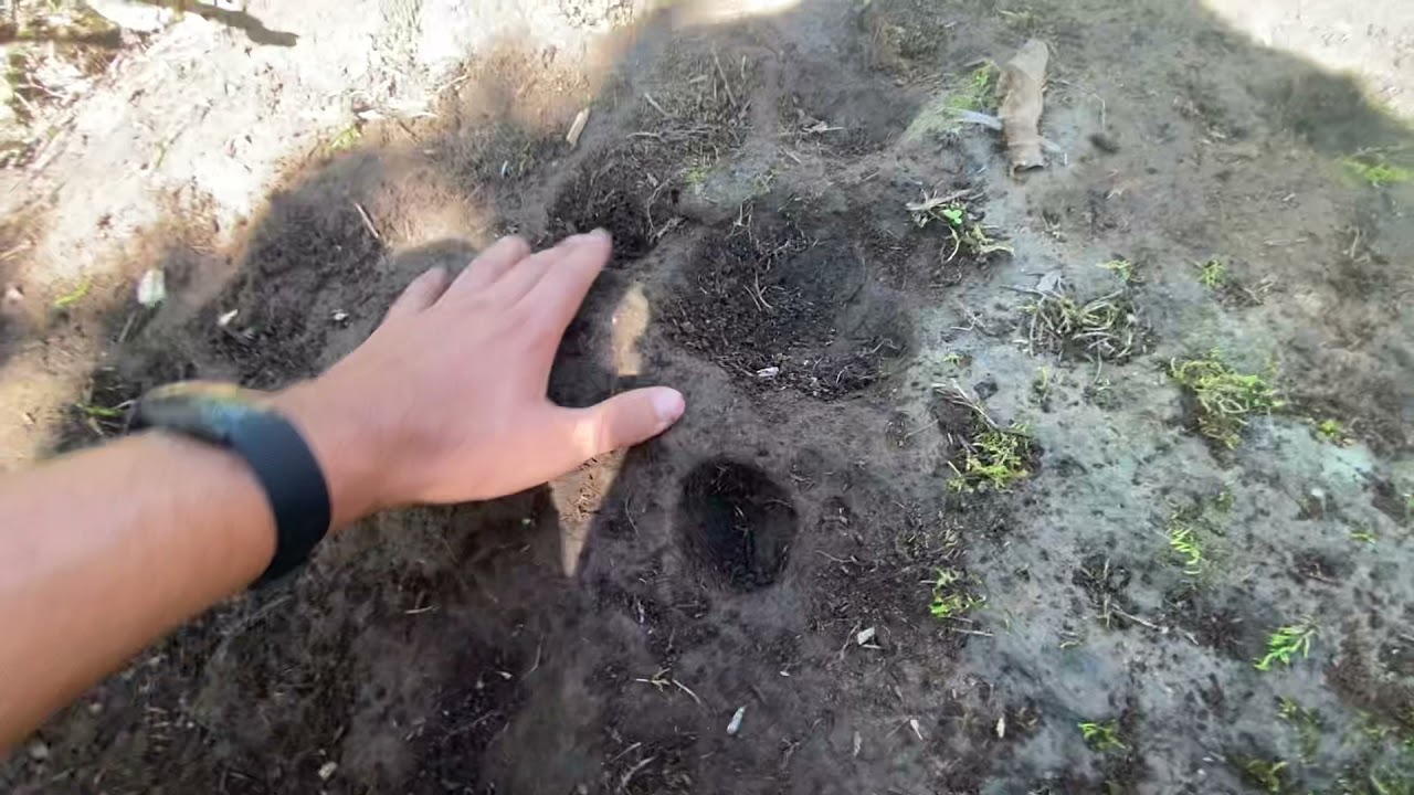🔥&iexcl;Lo que hall&eacute; en #Montero: hermosa piedra con hoyos perfectos y raros! #Ayabaca