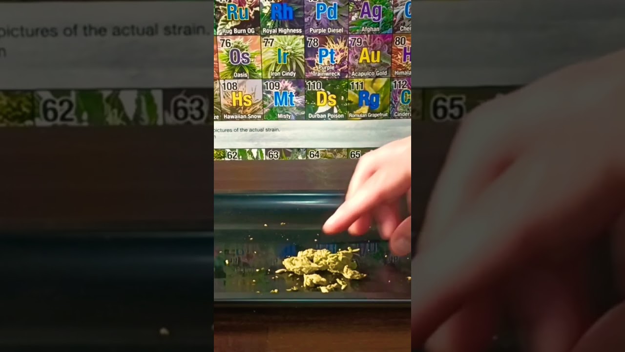 Motorbreath strain review #420 #motorbreath